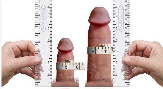 измерване на пениса за и след уголемяване у дома